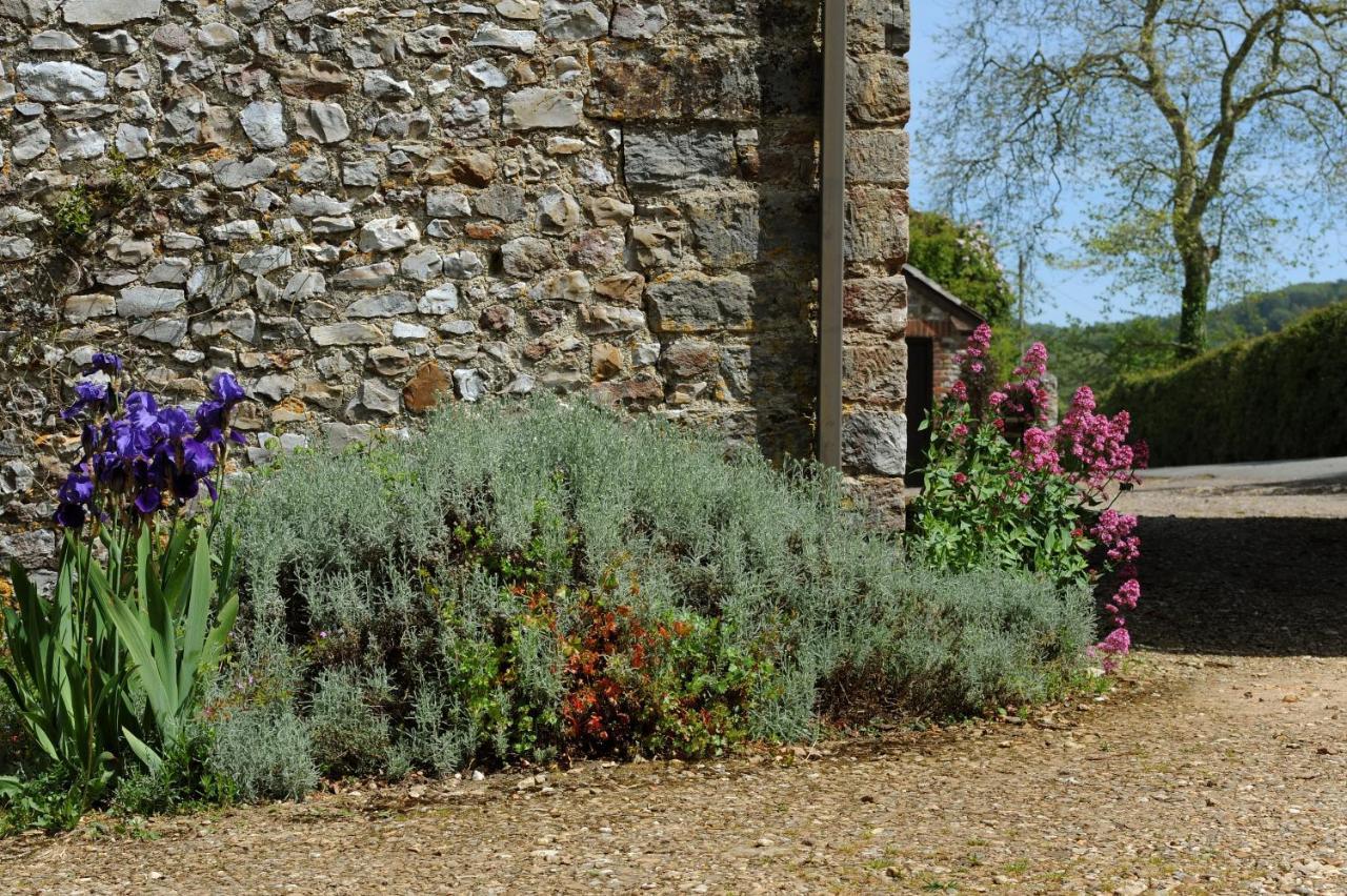 Trill Cottage Musbury Exterior foto